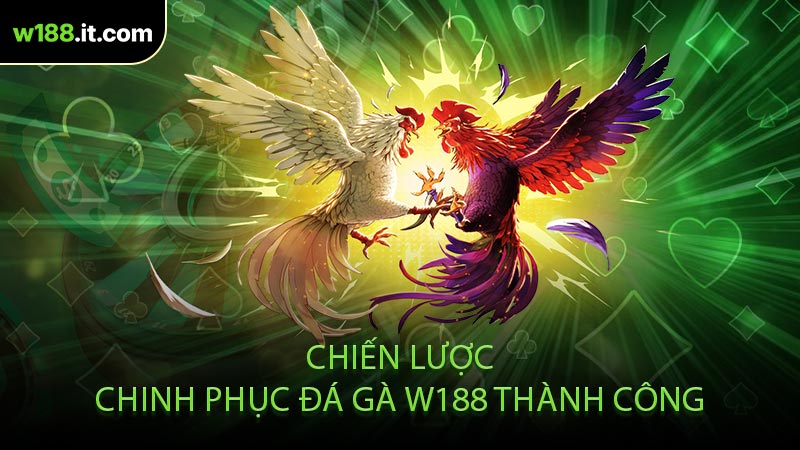 Chiến Lược Chinh Phục Đá Gà W188 Thành Công