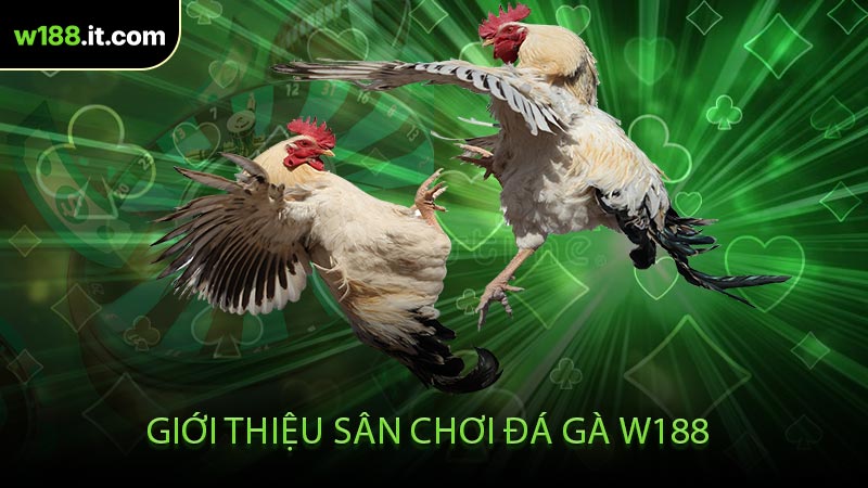 Giới Thiệu Sân Chơi Đá Gà W188