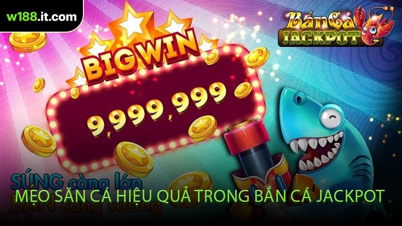 Mẹo Săn Cá Hiệu Quả Trong Bắn Cá Jackpot