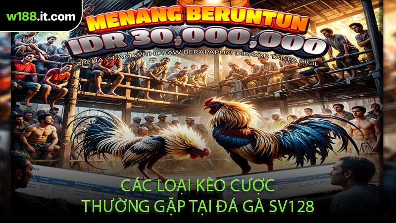 Các Loại Kèo Cược Thường Gặp Tại Đá Gà SV128